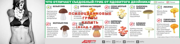 скорость Богданович