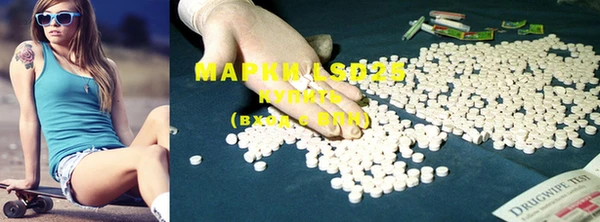 PSILOCYBIN Баксан