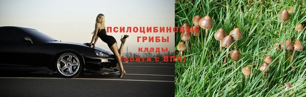 бошки Белоозёрский