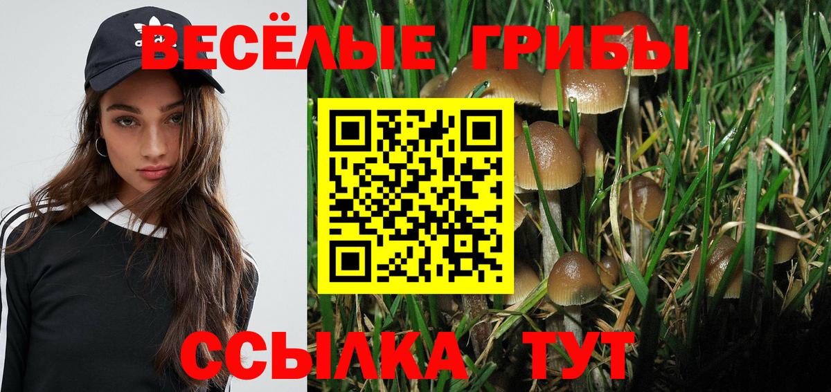Минеральные Воды  Псилоцибиновые грибы Psilocybine cubensis  Вход с VPN 